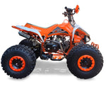 Load image into Gallery viewer, TAKASAKI ATV125-9MARS