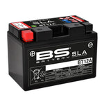 Load image into Gallery viewer, BATERIA BSBATTERY BS-BT12A